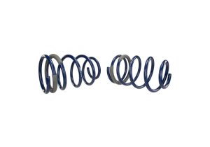 Ford Mustang Suspension Lowering Kit - Front/Rear - Ford Racing - Track Lowering Springs - `05-`14